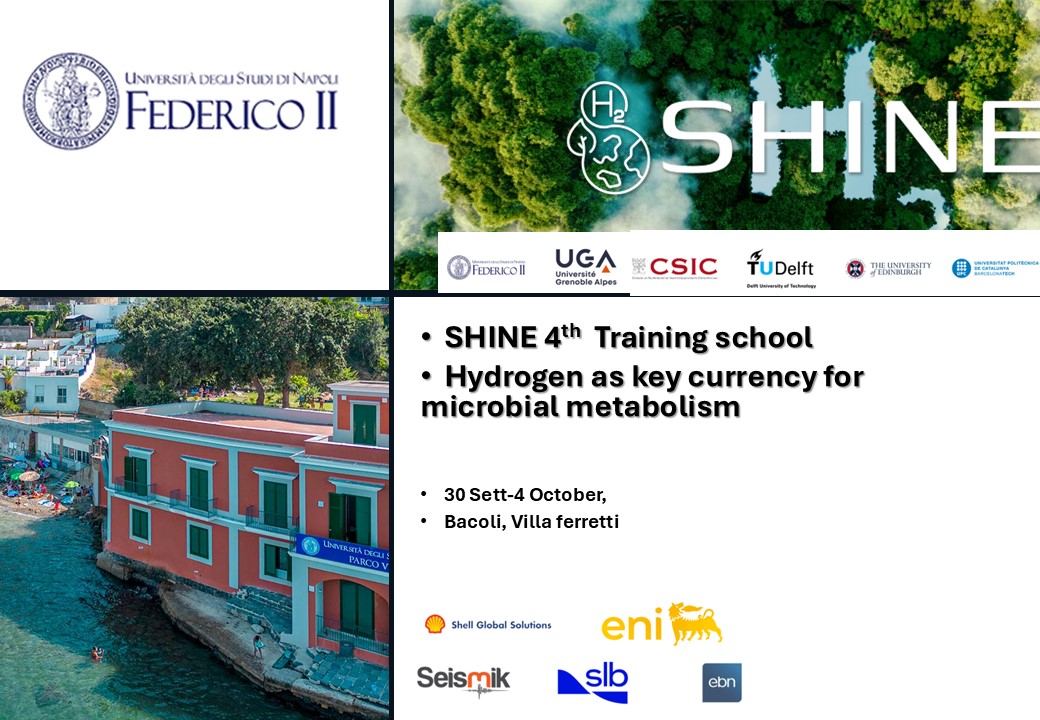 School training Naples SHINE 2024 advert