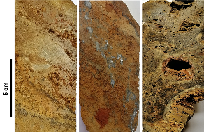 drillcores from a Zn nonsulfide deposit