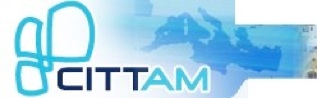 logo cittam